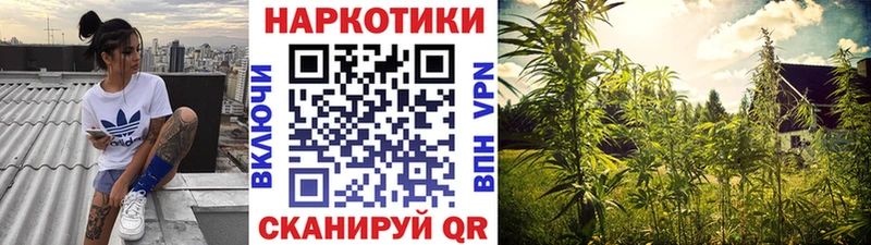 Виды наркоты Шадринск mega сайт Мефедрон СК Канабис ГАШ Кокаин Лсд 25