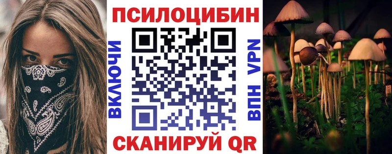Псилоцибиновые грибы ЛСД  наркотики  kraken сайт  Шадринск 