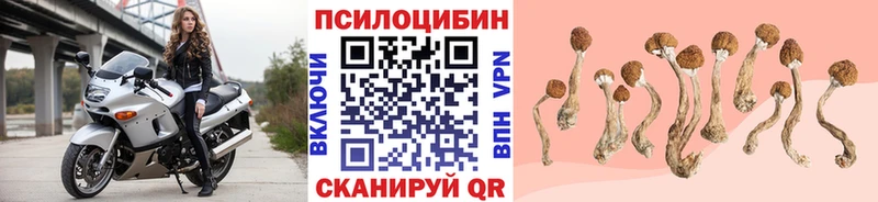 Галлюциногенные грибы прущие грибы Шадринск